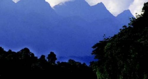 CIMA 2013. REDD+ en la Gestión del Parque Nacional Cordillera Azul